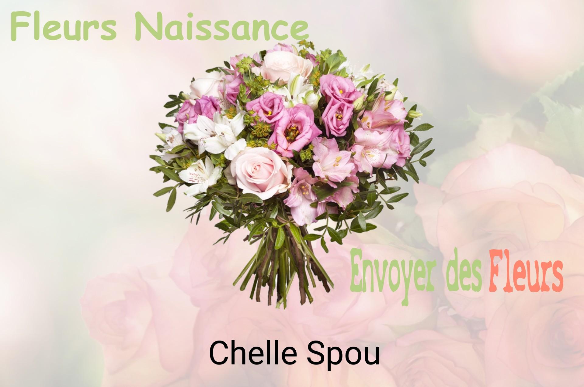 Bouquet de fleurs de naissance livré à Chelle-Spou