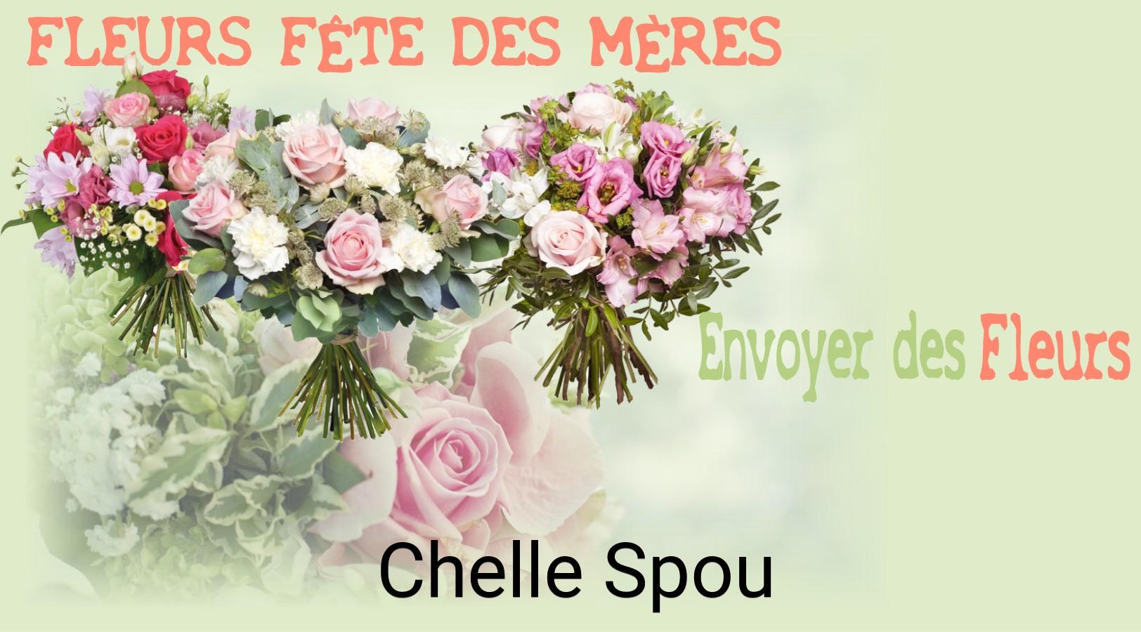 Bouquet de Fête des Mères livré à Chelle-Spou